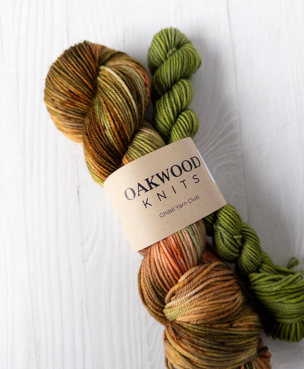 From Up on Poppy Hill Classic DK Set