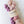 The Little Princess - Classic Sock Set